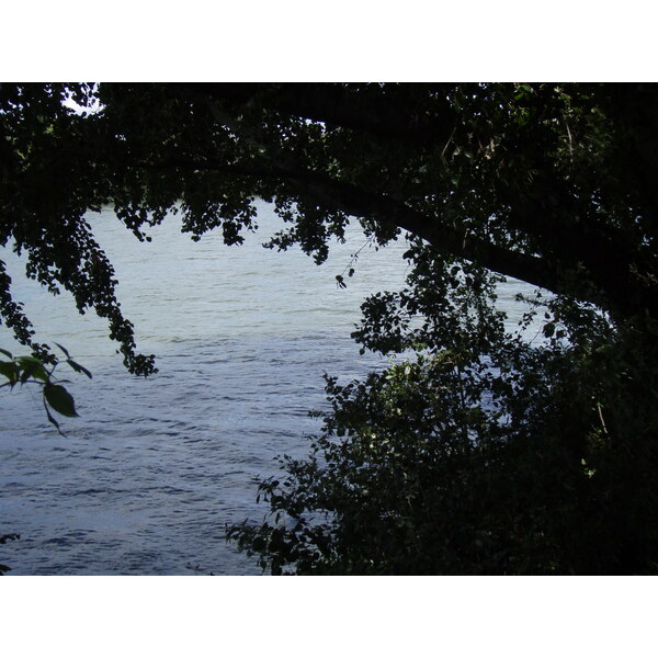 照片 法国(France) 科隆布(Colombes) 马朗特岛(L'ile Marrante) 2007-07 23