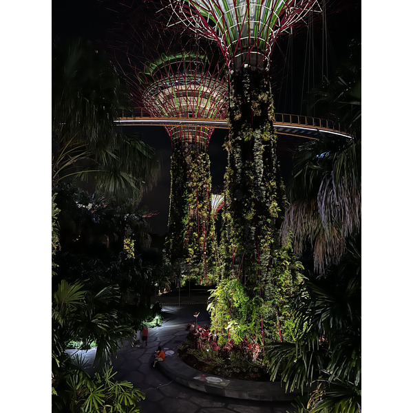 照片 新加坡(Singapore) 滨海湾花园(Garden by the bay) 2023-01 33