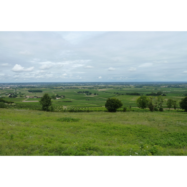 照片 法国(France) 蒙巴兹亚克(Monbazillac) 2010-08 138