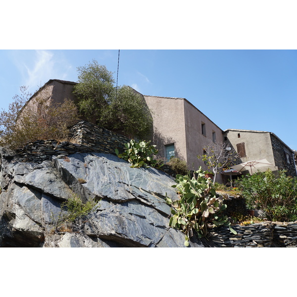 照片 法国(France) 科西嘉岛(Corsica) 彭塔-迪卡辛卡(Penta-di-Casinca) 2017-09 62
