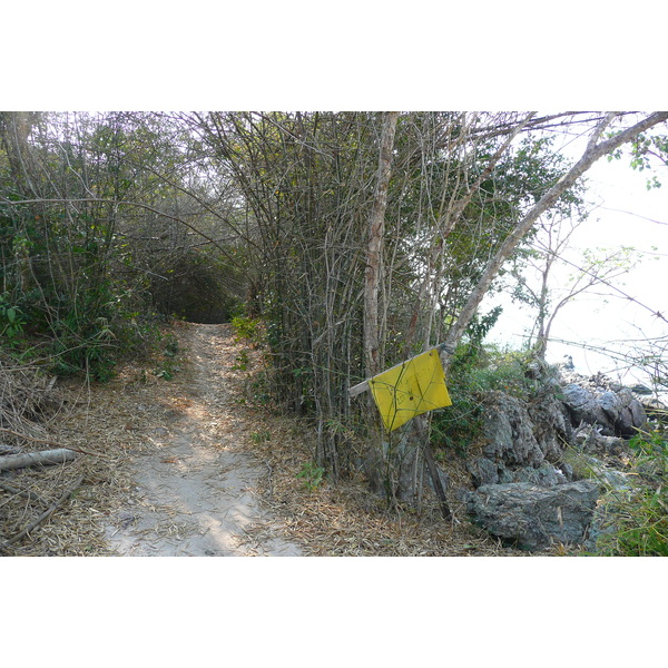 照片 泰国(Thailand) 春武里(Chonburi) 赛乔海滩(Sai Keaw Beach) 2008-01 18