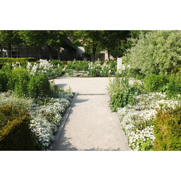 照片 法国(France) 吉维尼(Giverny) 2013-06 240