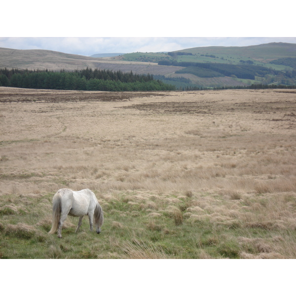 照片 英国(United Kingdom) 布雷肯比肯斯国家公园(Brecon Beacons National Park) 2006-05 17