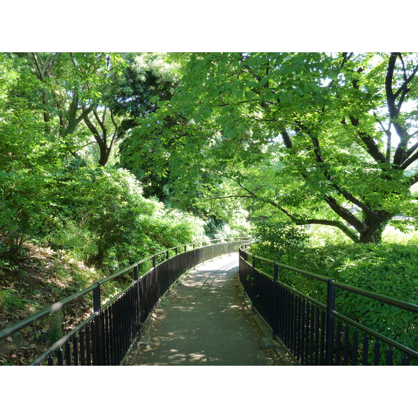 照片 日本(Japan) 东京(Tokyo) 皇居(Imperial Palace) 2010-06 14