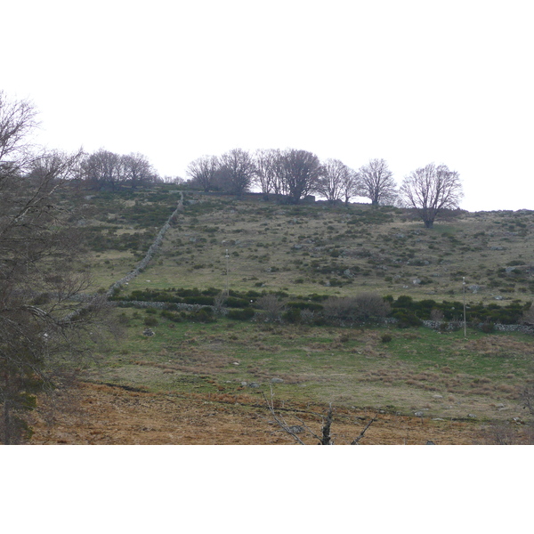 照片 法国(France) 奥布拉克(L'Aubrac) 2008-04 49