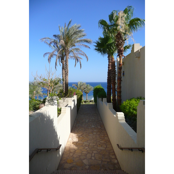 照片 埃及(Egypt) 沙姆沙伊赫(Sharm el Sheikh) 四季酒店(Four Seasons Hotel) 2008-06 90