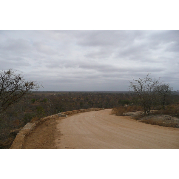 照片 南非(South Africa) 克鲁格国家公园(Kruger National Park) 2008-09 16