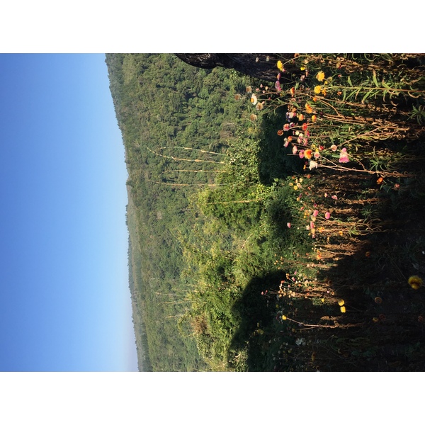 照片 泰国(Thailand) 普欣隆卡国家公园(Phu Hin Rong Kla National Park) 2014-12 430
