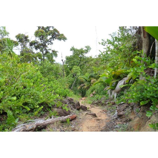 照片 塞舌尔(Seychelles) 拉齐奥湾(Anse Lazio) 2011-10 128