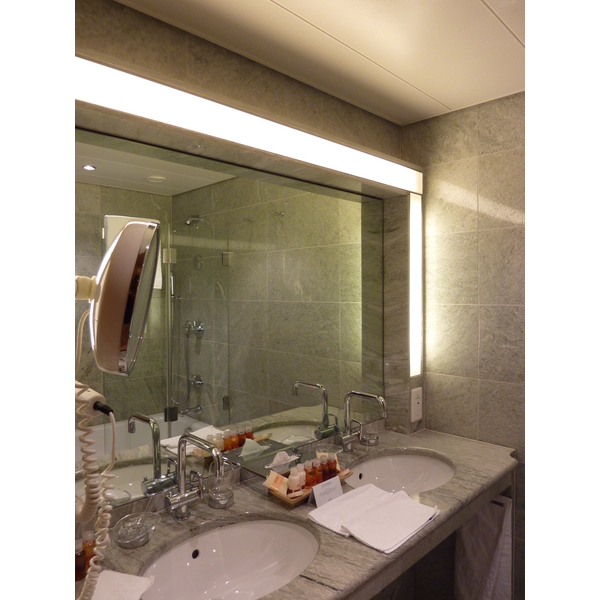照片 瑞士(Switzerland) 苏黎世(Zurich) 施泰根博阁湖畔贝勒里夫酒店(Steigenberger Hotel Bellerive au Lac) 2009-06 13