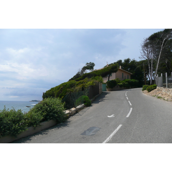 照片 法国(France) 萨纳里(Sanary) 2008-06 13