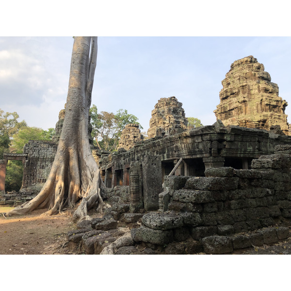 照片 柬埔寨(Cambodia) 暹粒(Siem Reap) 斑黛喀蒂寺(Banteay Kdei) 2023-01 15