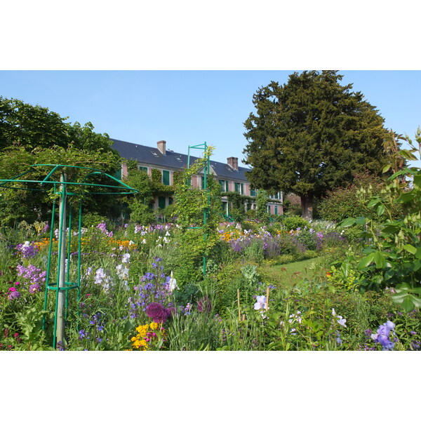 照片 法国(France) 吉维尼(Giverny) 2013-06 22