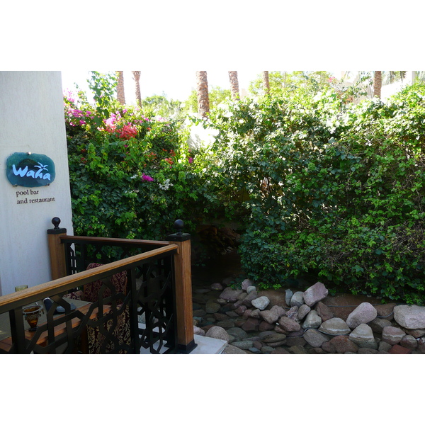 照片 埃及(Egypt) 沙姆沙伊赫(Sharm el Sheikh) 四季酒店(Four Seasons Hotel) 四季酒店绿洲泳池(Four Seasons Al Waha Pool) 2008-06 9