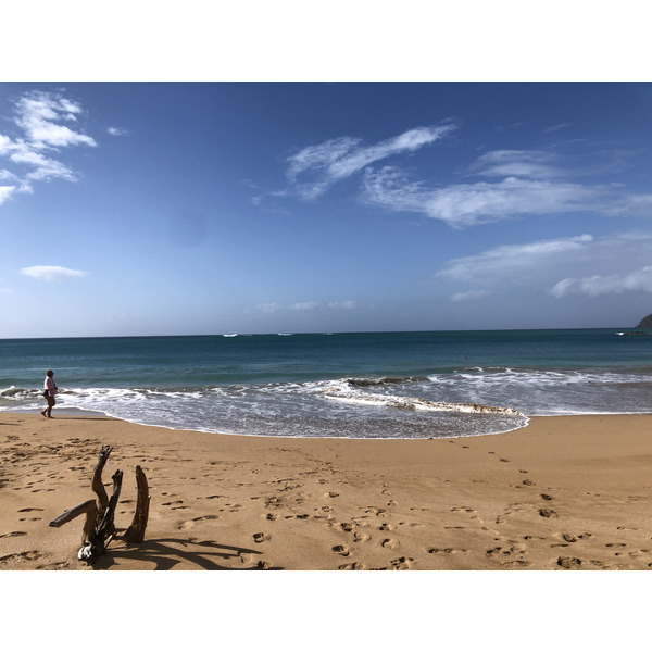 照片 瓜德罗普(Guadeloupe) 珍珠海滩(La Perle Beach) 2021-02 95