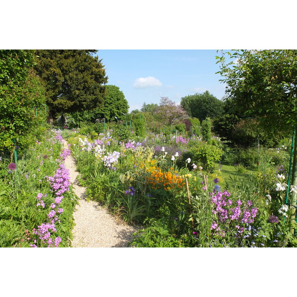 照片 法国(France) 吉维尼(Giverny) 2013-06 8