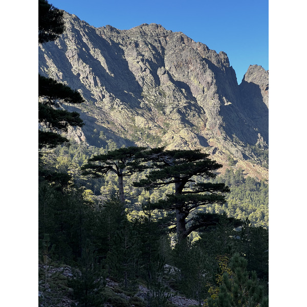 照片 法国(France) 科西嘉岛(Corsica) 钦托山(Monte Cinto) 2023-10 197