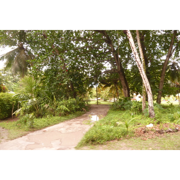 照片 塞舌尔(Seychelles) 拉迪格岛(La Digue) 2011-10 208