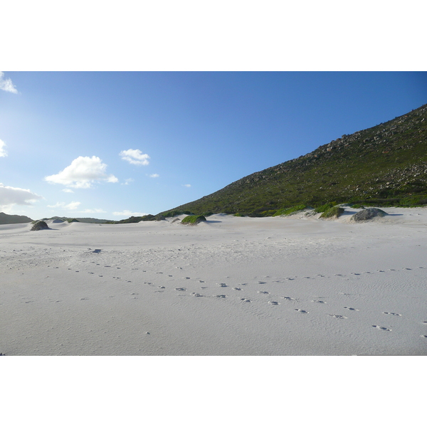 照片 南非(South Africa) 好望角(Cape of Good Hope) 2008-09 16