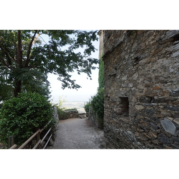 照片 法国(France) 科西嘉岛(Corsica) 彭塔-迪卡辛卡(Penta-di-Casinca) 2017-09 54
