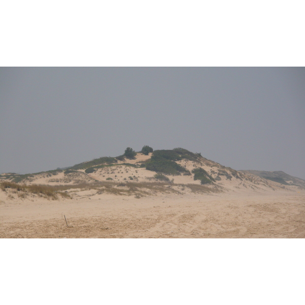 照片 以色列(Israel) 尼灿(Nitzan) 2007-06 29