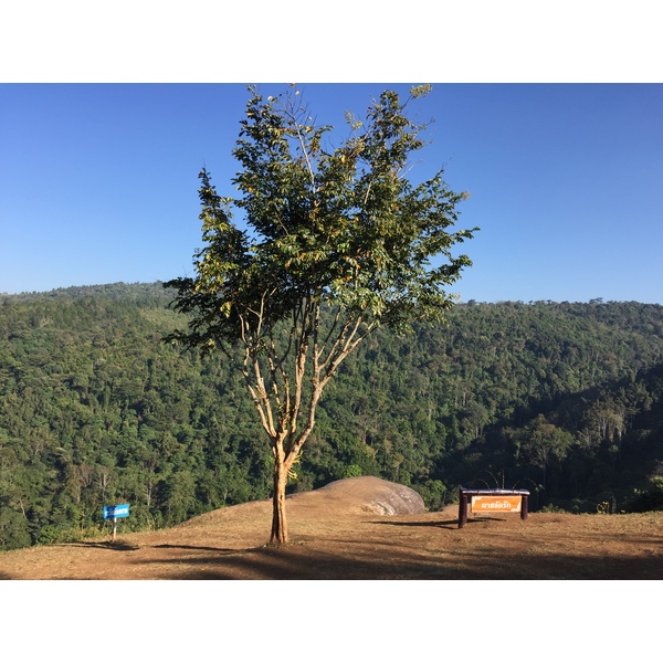 照片 泰国(Thailand) 普欣隆卡国家公园(Phu Hin Rong Kla National Park) 2014-12 376