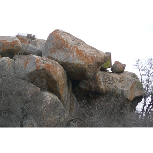 照片 南非(South Africa) 克鲁格国家公园(Kruger National Park) 2008-09 21