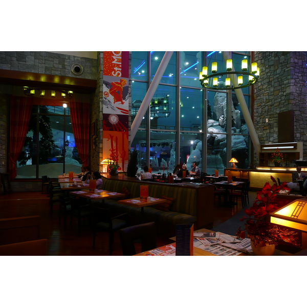 照片 阿联酋(United Arab Emirates) 迪拜(Dubai) 迪拜室内滑雪场(Ski Dubai) 2009-01 5
