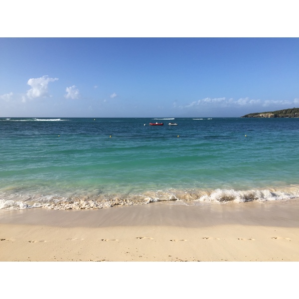照片 瓜德罗普(Guadeloupe) 卡拉维尔海滩(La Caravelle Beach) 2021-02 120