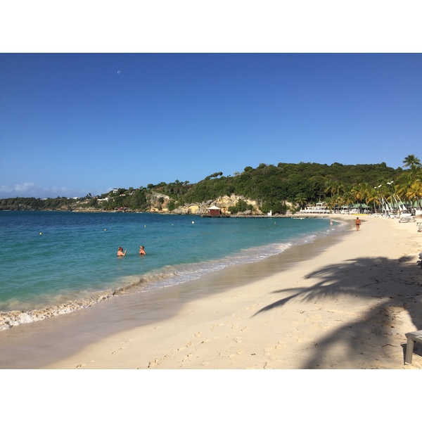 照片 瓜德罗普(Guadeloupe) 卡拉维尔海滩(La Caravelle Beach) 2021-02 112