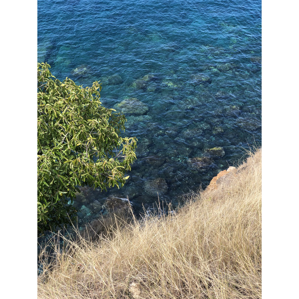 照片 瓜德罗普(Guadeloupe) 黑角(Black Point) 2021-02 4