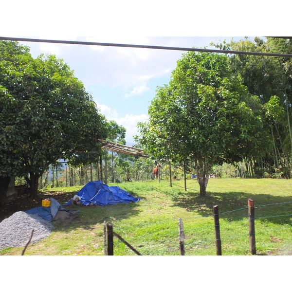 照片 哥斯达黎加(Costa Rica) 图里亚尔瓦(Turrialba) 2015-03 54