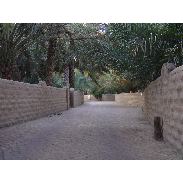 照片 阿联酋(United Arab Emirates) 艾因(Al Ain) 艾因绿洲(Al Ain Oasis) 2005-03 0