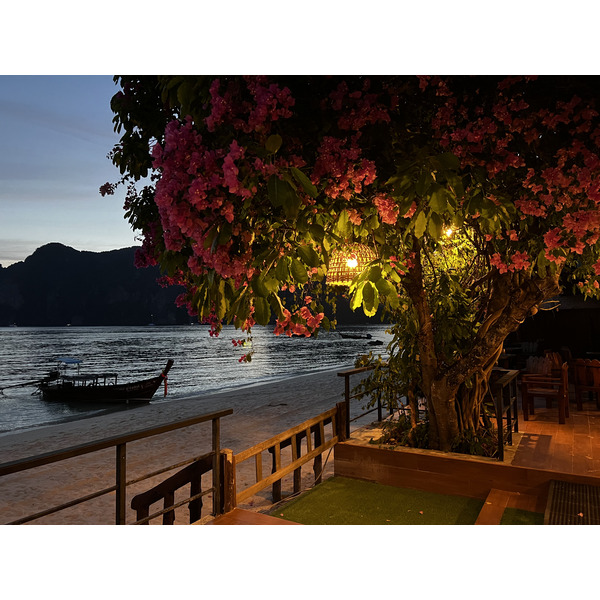 照片 泰国(Thailand) 大皮皮岛(Ko Phi Phi Don) 2021-12 138