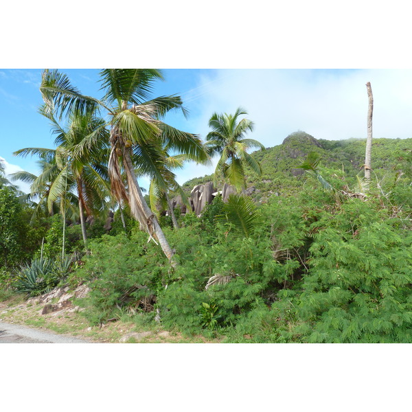 照片 塞舌尔(Seychelles) 普拉兰岛(Praslin) 2011-10 14