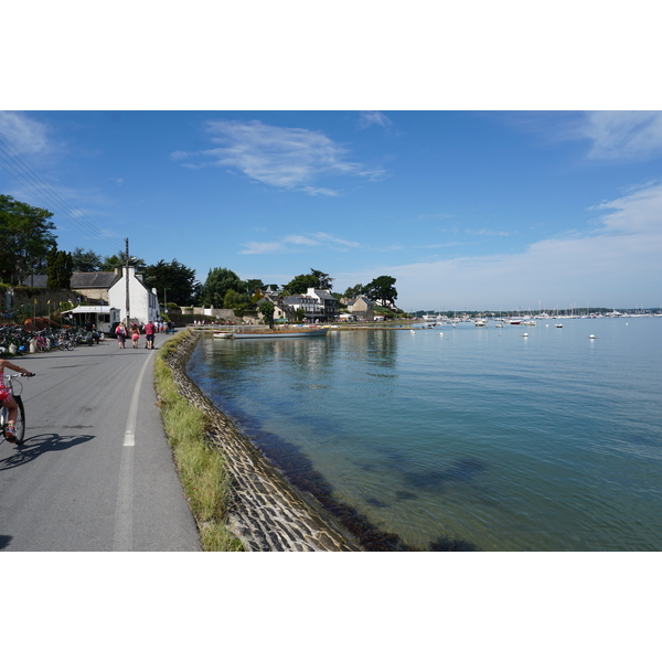 照片 法国(France) 僧侣岛(Ile-aux-Moines) 2016-08 76