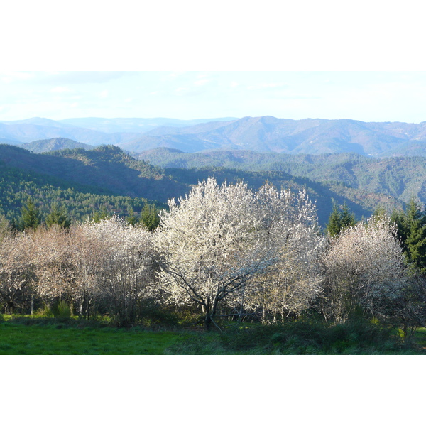 照片 法国(France) 塞文山脉(Cevennes Mountains) 2008-04 31