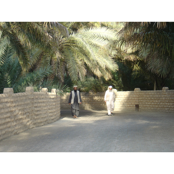 照片 阿联酋(United Arab Emirates) 艾因(Al Ain) 艾因绿洲(Al Ain Oasis) 2005-03 6