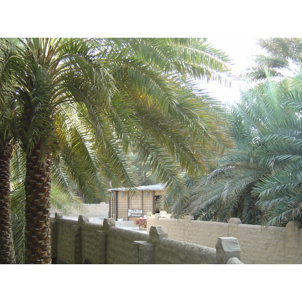 照片 阿联酋(United Arab Emirates) 艾因(Al Ain) 艾因绿洲(Al Ain Oasis) 2005-03 5