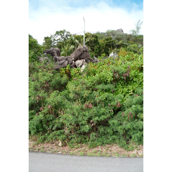照片 塞舌尔(Seychelles) 普拉兰岛(Praslin) 2011-10 13