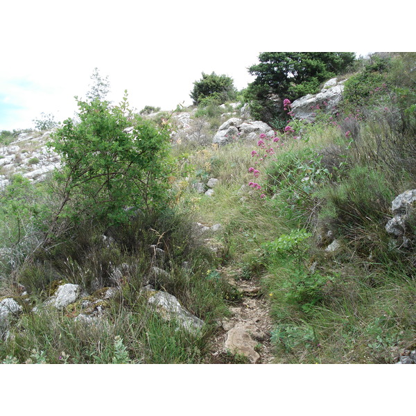照片 法国(France) 旺斯(Vence) 巴乌山(Baou) 2006-06 8