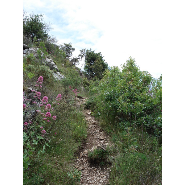 照片 法国(France) 旺斯(Vence) 巴乌山(Baou) 2006-06 0
