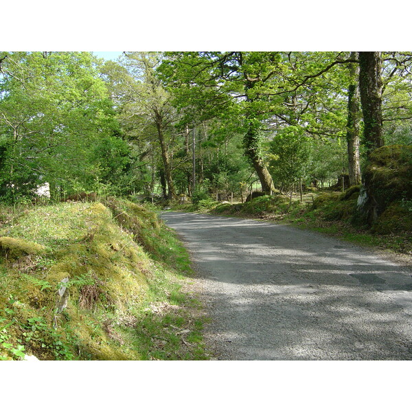 照片 爱尔兰(Ireland) 凯里郡(Kerry) 卡拉湖(Caragh Lake) 2004-05 32