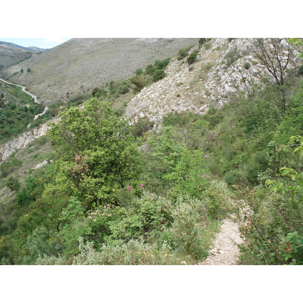 照片 法国(France) 旺斯(Vence) 巴乌山(Baou) 2006-06 6
