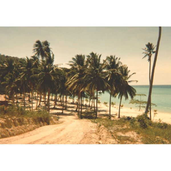 照片 泰国(Thailand) 普吉岛(Phuket) 1989-04 1
