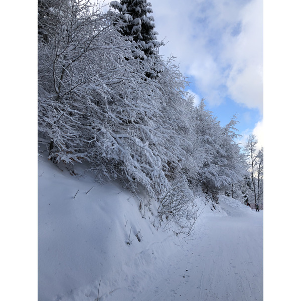 照片 法国(France) 拉克吕萨(La Clusaz) 2017-12 316
