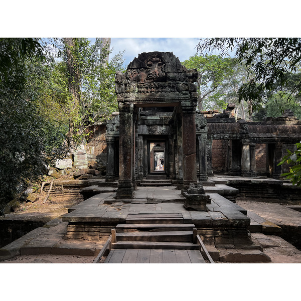照片 柬埔寨(Cambodia) 暹粒(Siem Reap) 塔布茏寺(Ta Prohm) 2023-01 24