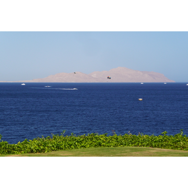 照片 埃及(Egypt) 沙姆沙伊赫(Sharm el Sheikh) 四季酒店(Four Seasons Hotel) 四季酒店海滩(Four Seasons Beach) 2008-06 24