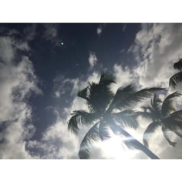 照片 瓜德罗普(Guadeloupe) 圣安妮(Sainte Anne) 2021-02 34