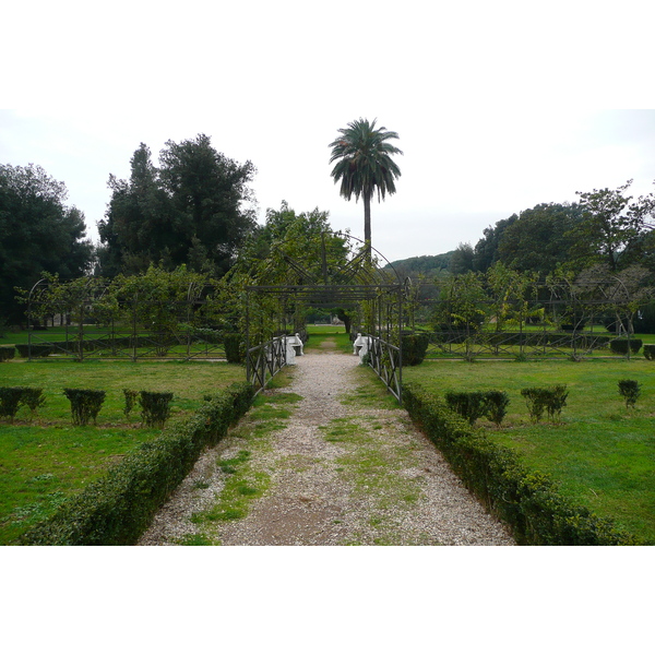 照片 意大利(Italy) 罗马(Rome) 多里亚·潘菲利别墅公园(Villa Doria Pamphili) 2007-11 33